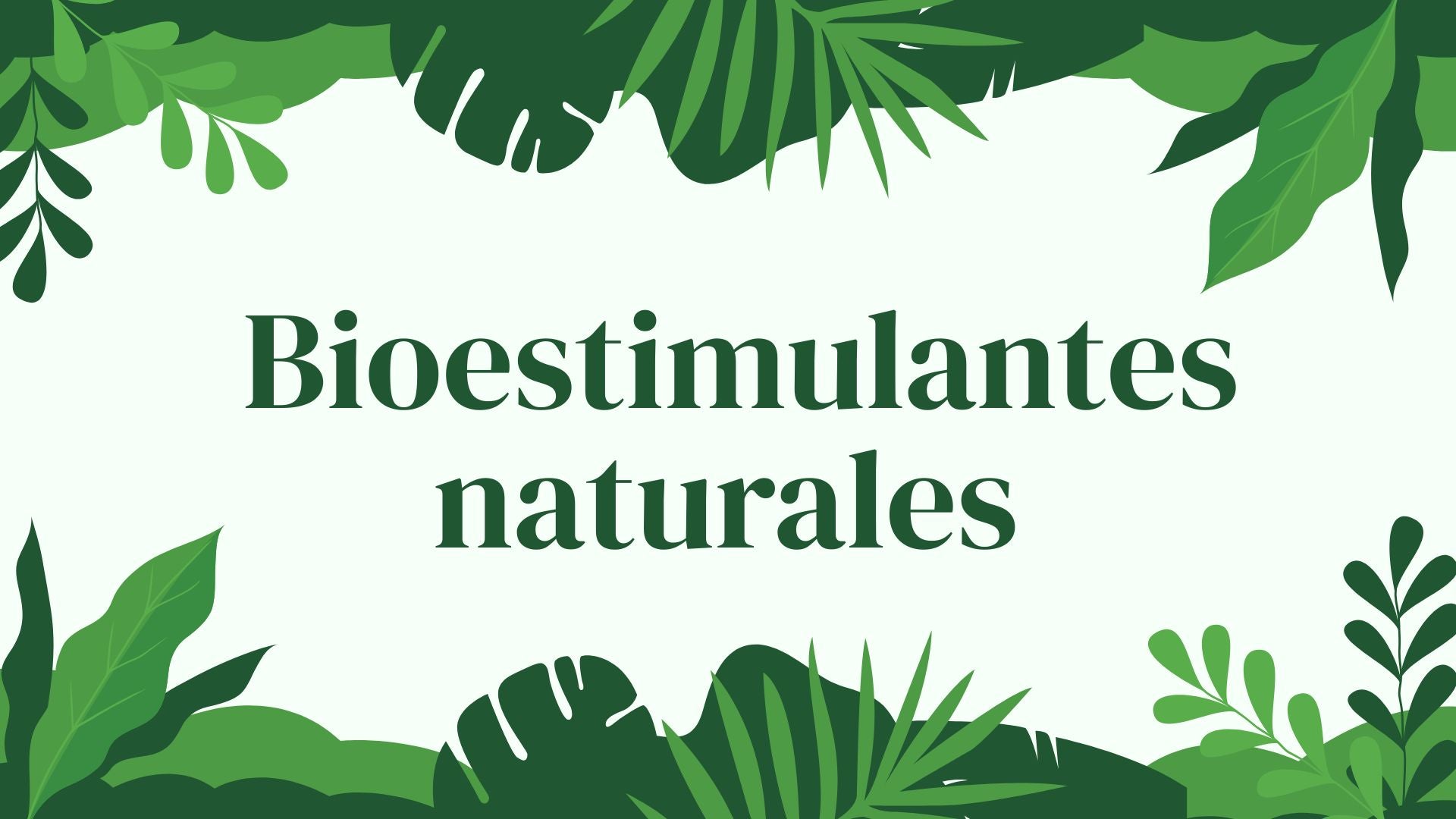 Abono Orgánico Líquido EcoFlora De 1L, Bioestimulante Con L-aminoácidos, Fortalece Las Defensas De Rosales Y Geranios, Protege Contra Pulgones Y Estrés Ambiental, 100% Biodegradable
