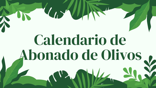 Guía de abonado para olivos: calendario, nutrientes y fertilizantes