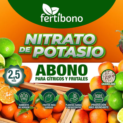 Nitrato de Potasio o