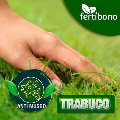 cesped en crecimiento