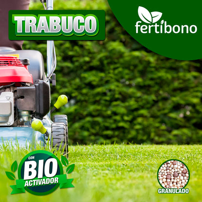 Abono para PLANTAS VERDES