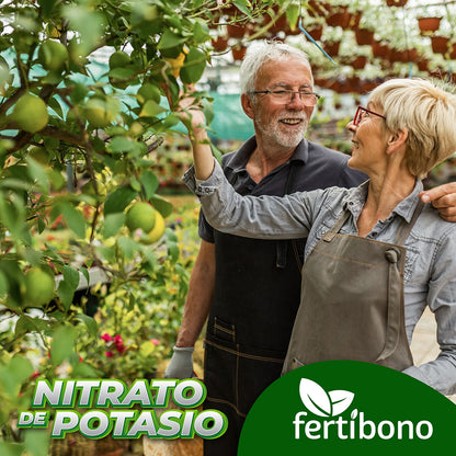 NITRATO DE POTASIO FRUTALES es más eficiente consiguiendo un alto valor nutricional sostenible para el ambiente para citricos y frutales fácil aplicación