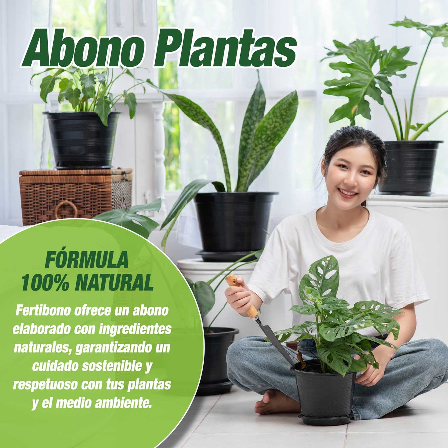 abono plantas interiores