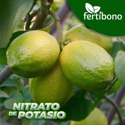 Nitrato de Potasio frutales aumenta la produccion