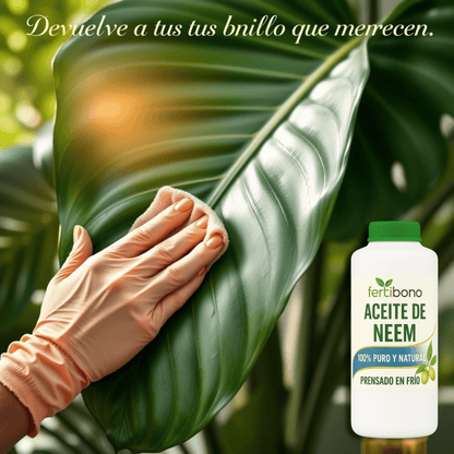 FERTIBONO Aceite de Neem 100% Puro y Natural  - 250ML - Extraído de Semillas - Vitalidad y Bienestar para Plantas - Hidratación y Nutrición Natural - Residuo Cero