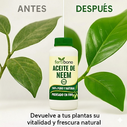 Aceite de Neem 100% Puro 500 ml | Prensado en Frío – Cuidado natural para plantas sanas en hogar, jardín, terraza y oficinas