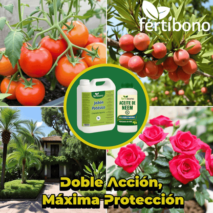 Fertibono - Jabón Potásico y Aceite de Neem - 5L + 1l - Limpieza y Cuidado Natural para Plantas y Jardín - 100% Ecológico y Biodegradable