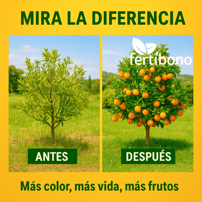 FERTIBONO Abono Cítricos Premium para Limonero y Naranjos, 20-5-11, (2Kg), con Hierro, Calcio, Azufre, Magnesio, y Manganeso - Corrector de Carencias Múltiples