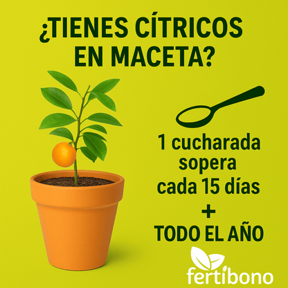 FERTIBONO Abono Cítricos Premium para Limonero y Naranjos, 20-5-11, (2Kg), con Hierro, Calcio, Azufre, Magnesio, y Manganeso - Corrector de Carencias Múltiples