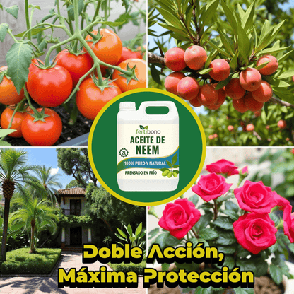 FERTIBONO Aceite de Neem 100% Puro y Natural - Extraído de Semillas - Vitalidad y Bienestar para Plantas - Hidratación y Nutrición Natural - Residuo Cero - 2L