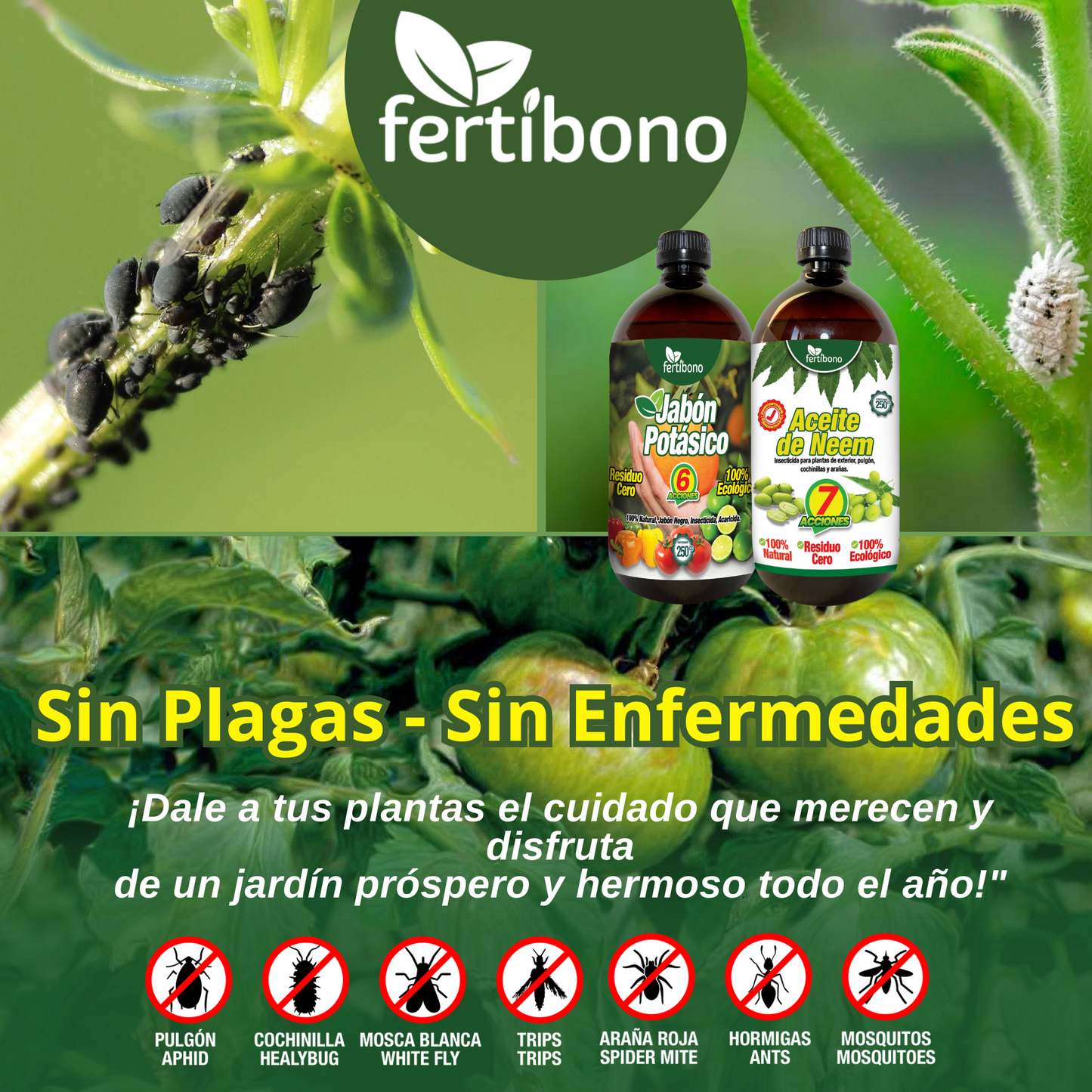 FERTIBONO BabyPlus - Jabón Potásico y Aceite de Neem – Pack 250 ml - Alta Concentración, Mayor Ahorro con Menor Dosis, Eficacia en el Cuidado de Plantas.