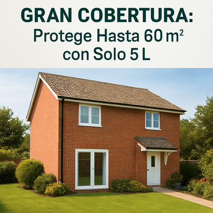 DryFort - Impermeabilizante Transparente Hidrofugante para Fachadas, (5L), Piedra Natural, Gres, Tejas y Terraza - Protege Contra Humedad, Manchas, Heladas y Moho - Interior y Exterior