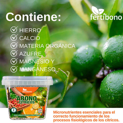 FERTIBONO CitriSalud: Abono Cítricos, Aceite de Neem, Jabón Potásico, Abono Plantas, (2Kg + 750ml), Nutre, Previene