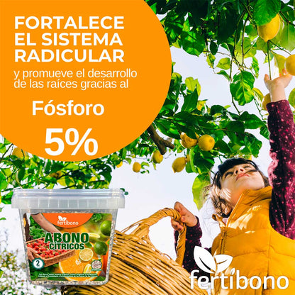 FERTIBONO CitriSalud: Abono Cítricos, Aceite de Neem, Jabón Potásico, Abono Plantas, (2Kg + 750ml), Nutre, Previene