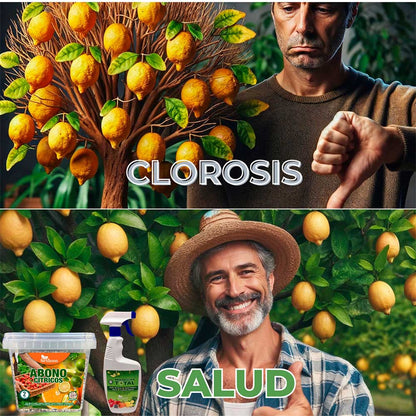 FERTIBONO CitriSalud: Abono Cítricos, Aceite de Neem, Jabón Potásico, Abono Plantas, (2Kg + 750ml), Nutre, Previene