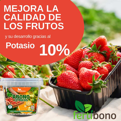 FERTIBONO CitriSalud: Abono Cítricos, Aceite de Neem, Jabón Potásico, Abono Plantas, (2Kg + 750ml), Nutre, Previene