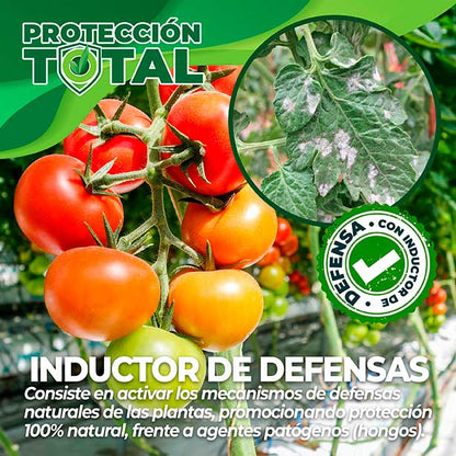 FERTIBONO CitriSalud: Abono Cítricos, Aceite de Neem, Jabón Potásico, Abono Plantas, (2Kg + 750ml), Nutre, Previene