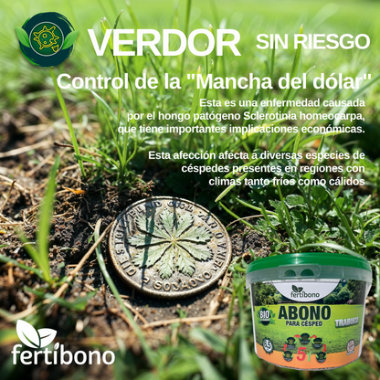 FERTIBONO Abono Césped, Antimusgos, Liberacion Lenta, Primavera, Verano, Acción 5 en 1. (6.5)