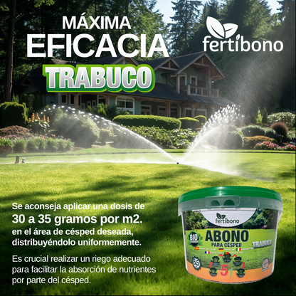 FERTIBONO Abono Césped, Antimusgos, Liberacion Lenta, Primavera, Verano, Acción 5 en 1. (6.5)