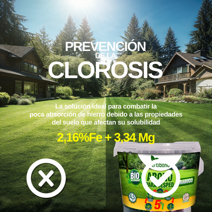 FERTIBONO Abono Césped, Antimusgos, Liberacion Lenta, Primavera, Verano, Acción 5 en 1, (4,5 Kg)