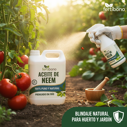 FERTIBONO Aceite de Neem 100% Puro y Natural - Extraído de Semillas - Vitalidad y Bienestar para Plantas - Hidratación y Nutrición Natural - Residuo Cero - 2L