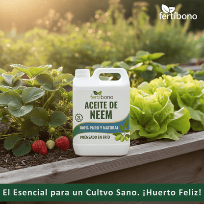 FERTIBONO Aceite de Neem 100% Puro y Natural - Extraído de Semillas - Vitalidad y Bienestar para Plantas - Hidratación y Nutrición Natural - Residuo Cero - 2L