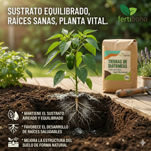 Tierra Diatomeas 20kg Micronizada Natural - Multiusos Plantas y Absorbente Olores Mascotas - Saco Ahorro Multiusos