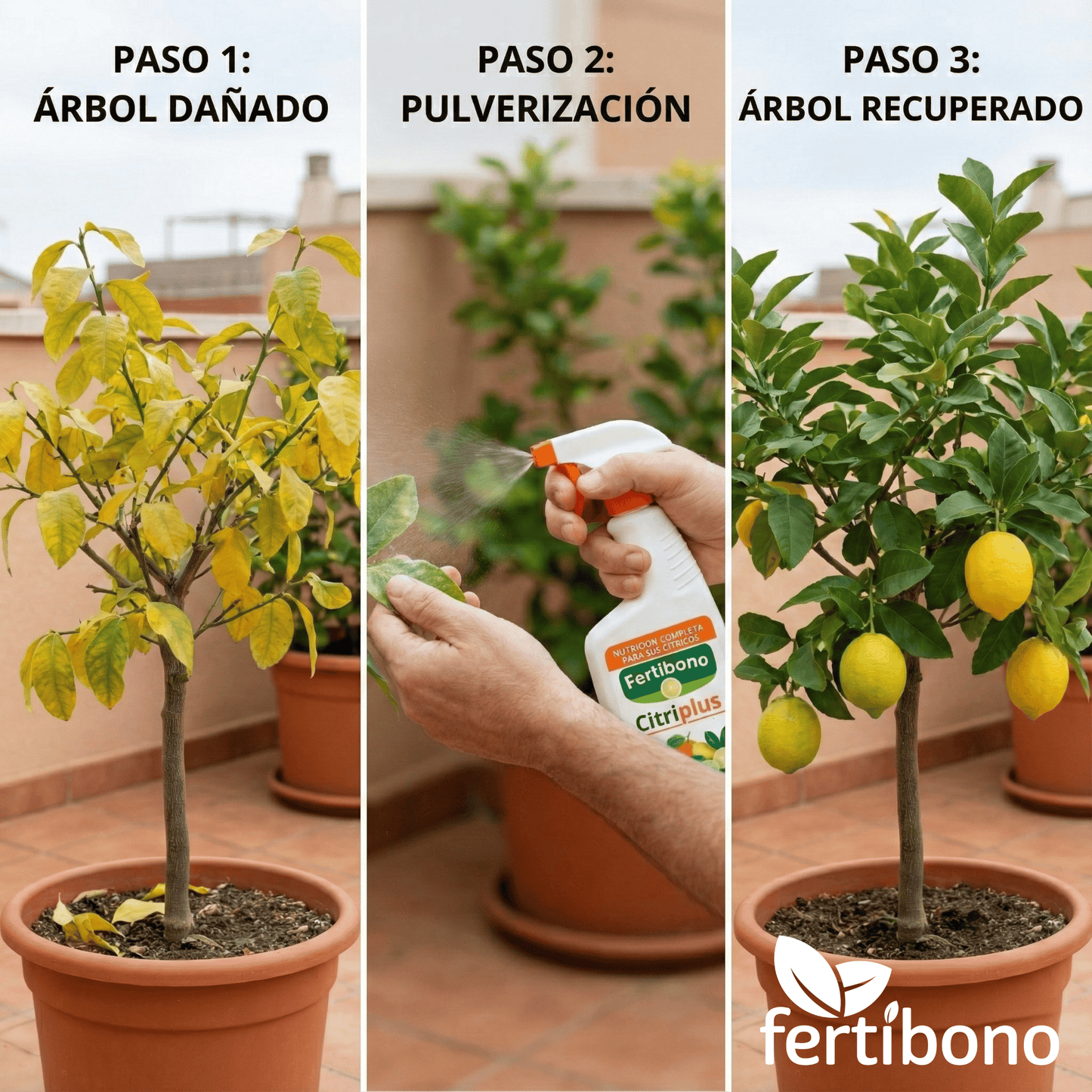 Abono Citricos CitriPlus Fertibono 750 ml listo para usar | Pulverización foliar para limonero y naranjo | Ayuda a mantener hojas verdes, floración y fruto