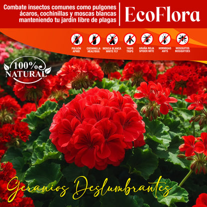 FERTIBONO EcoFlora - Fórmula Premium para Flores: Jabón Potásico, Abono y Extractos Naturales (750ml), Cuida y Protege tus Plantas de Interior y Exterior contra Plagas, Pulgón, Ácaros,Cochinilla,Taladro