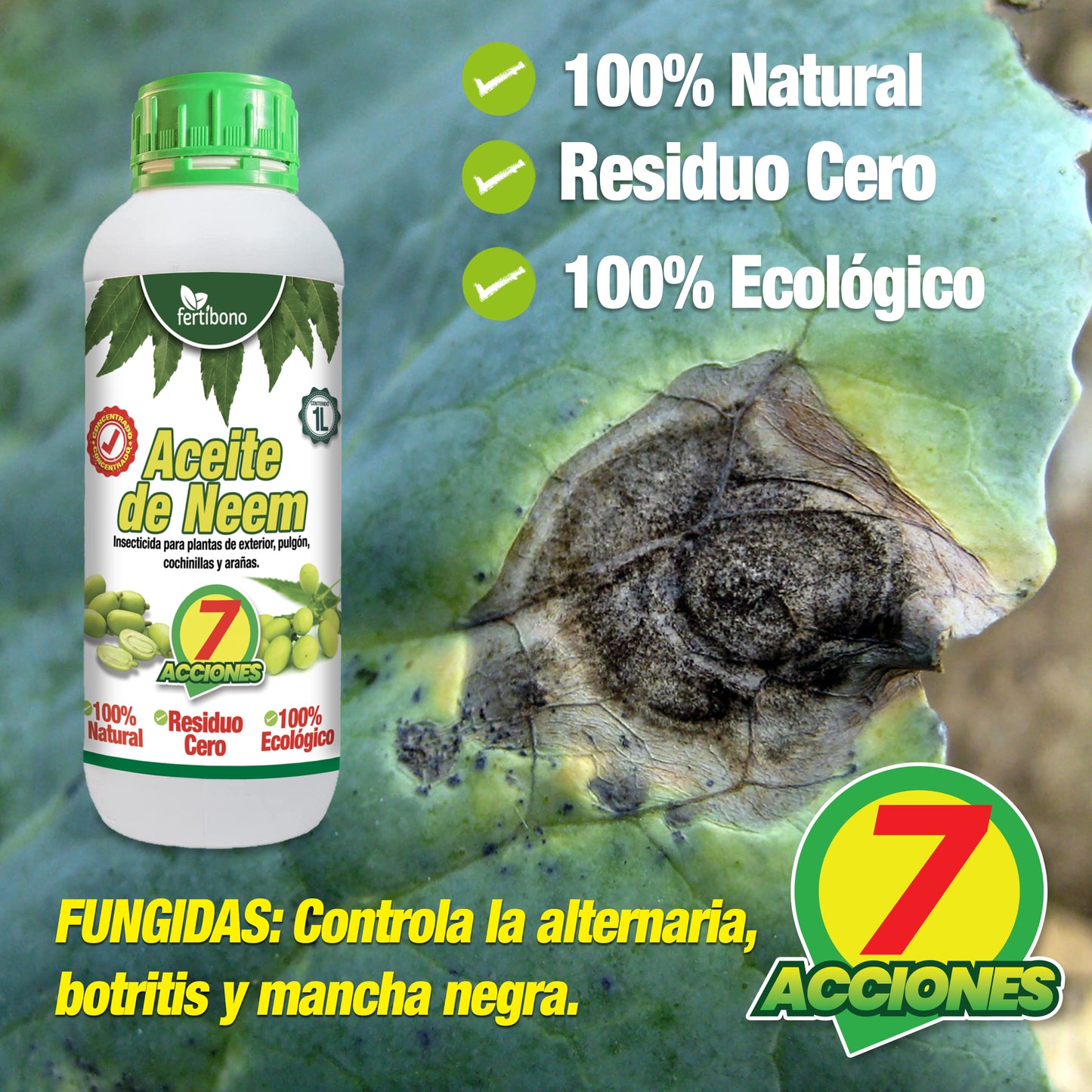 Fertibono PotaNeem: Concentrado Jabón Potásico y Aceite de Neem Extraído en Frío - 5L+ 1L - Máxima Eficacia y Ahorro en Control de Plagas para Plantas y Huertos