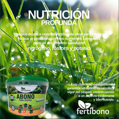 FERTIBONO Abono Césped, Antimusgos, Liberacion Lenta, Primavera, Verano, Acción 5 en 1. (6.5)