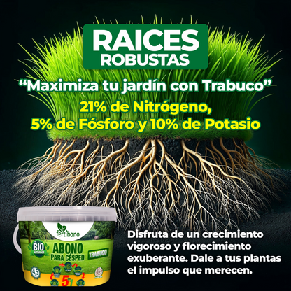FERTIBONO Abono Césped, Antimusgos, Liberacion Lenta, Primavera, Verano, Acción 5 en 1, (4,5 Kg)