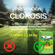 FERTIBONO Abono Césped, Antimusgos, Liberacion Lenta, Primavera, Verano, Acción 5 en 1, (20 Kg)