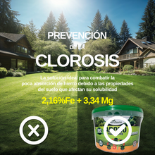 FERTIBONO Abono Césped, Antimusgos, Liberacion Lenta, Primavera, Verano, Acción 5 en 1. (6.5)