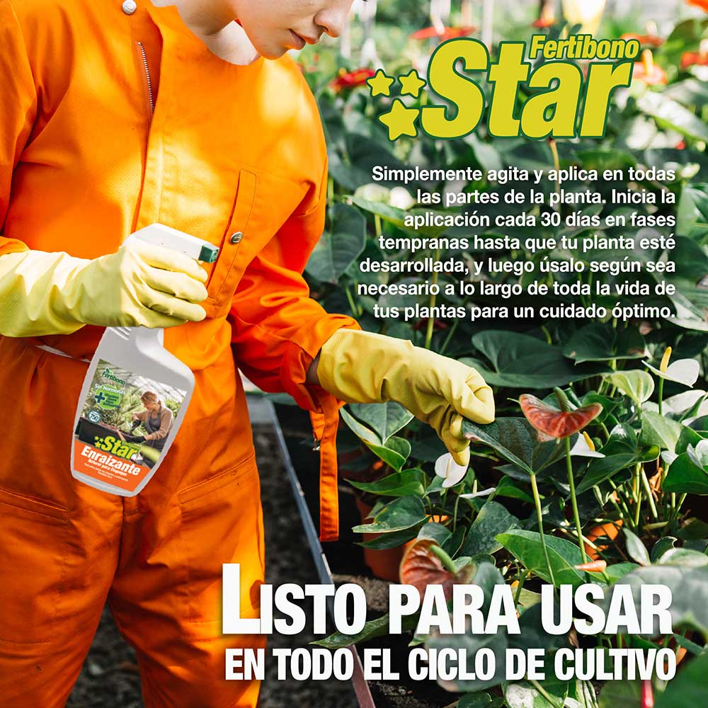 FERTIBONO STAR: Enraizante Natural para Esquejes