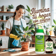 Fertibono JaboNeem - Jabón Potásico y Aceite de Neem - 1 + 250Ml - Limpieza y Cuidado Natural para Plantas y Jardín - 100% Ecológico y Biodegradable