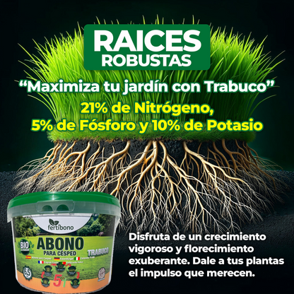 FERTIBONO Abono Césped, Antimusgos, Liberacion Lenta, Primavera, Verano, Acción 5 en 1. (6.5)